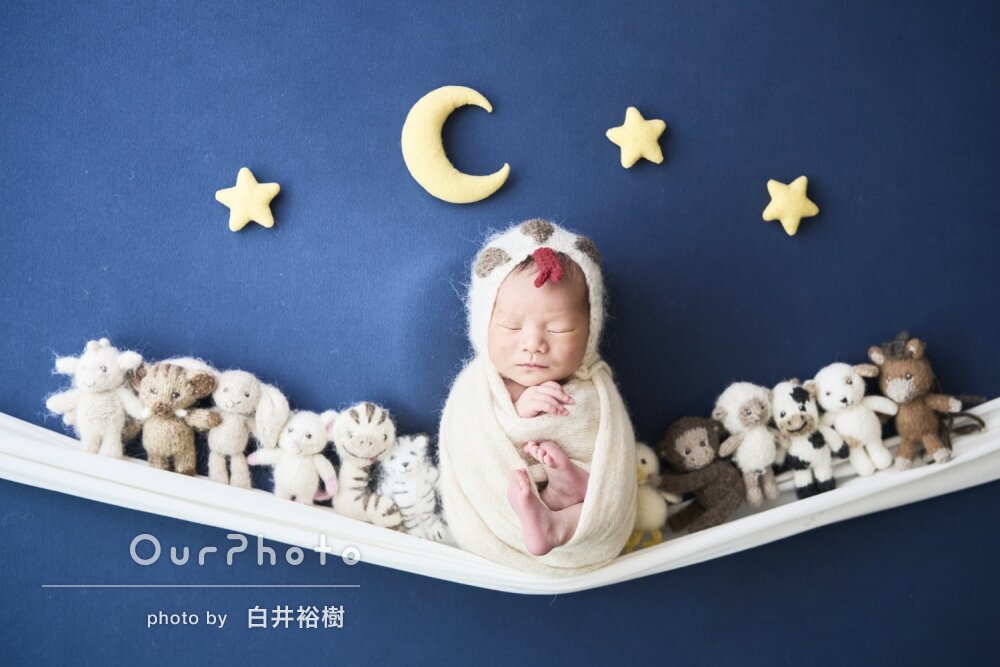 「とてもいい写真」干支のぬいぐるみと一緒に！ニューボーンフォト撮影